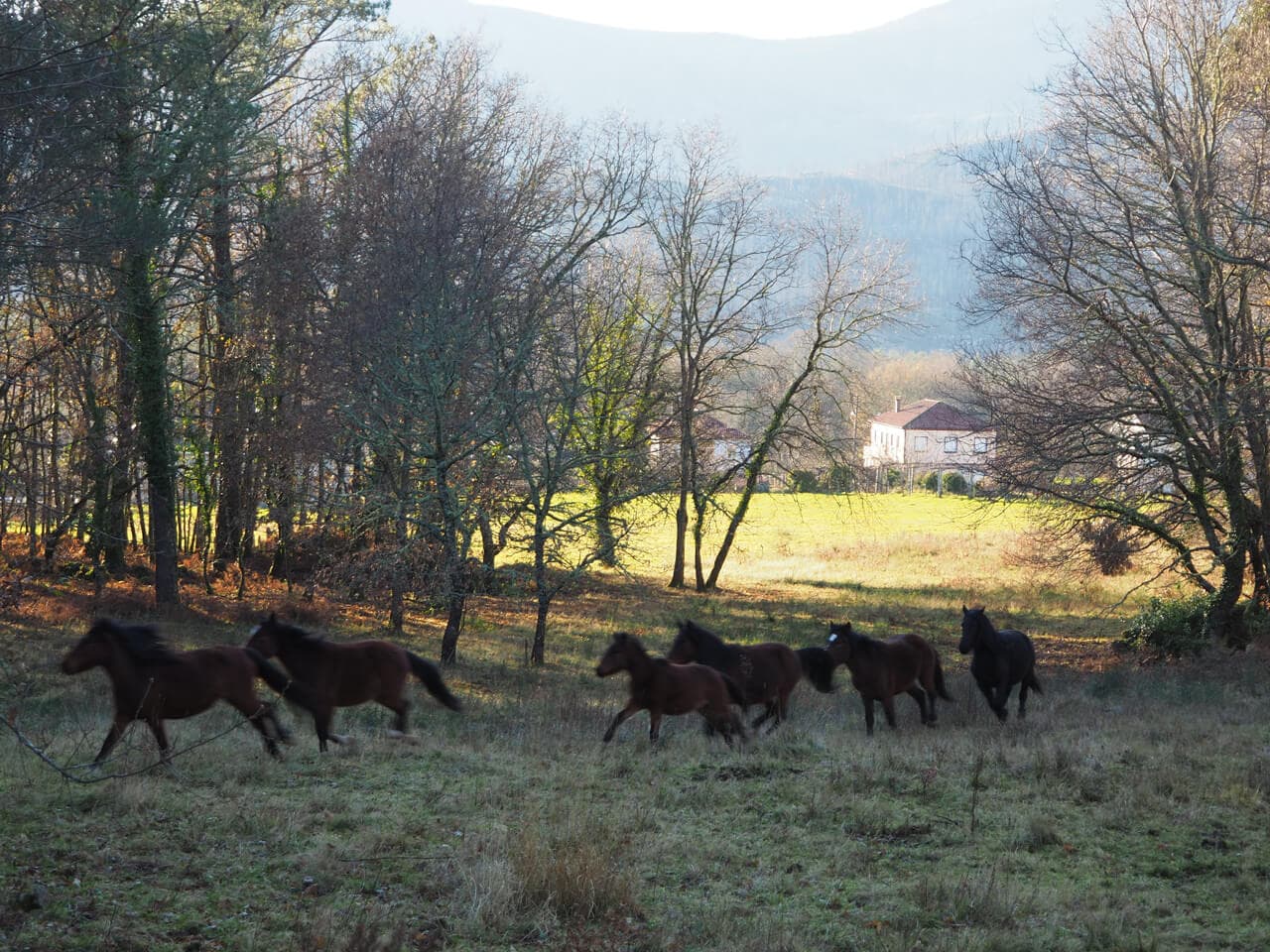 Disfrute de nuestras actividades y de la naturaleza